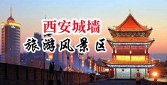 美女的下面被操网站中国陕西-西安城墙旅游风景区